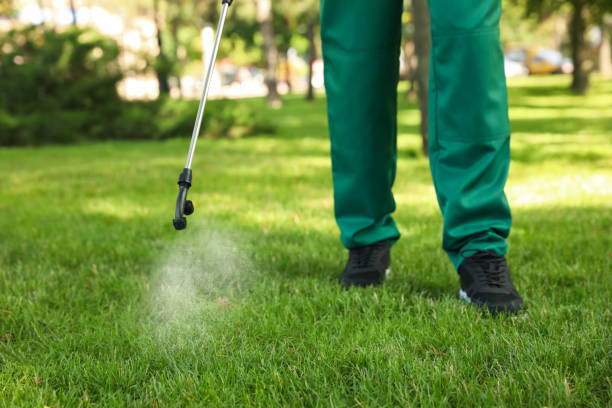 Best Emergency Pest Control  in Benton, TN