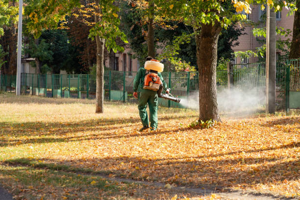Best Emergency Pest Control  in Benton, TN