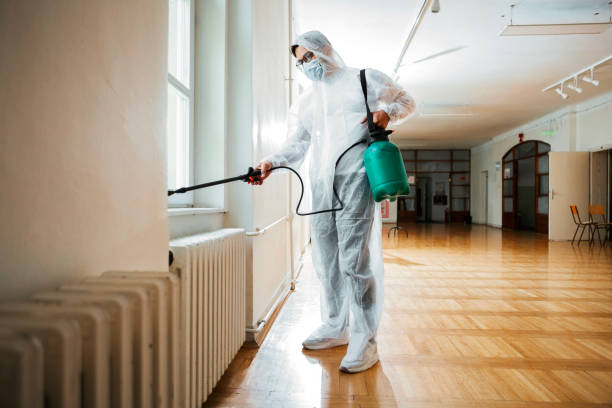 Wasp Removal Services in Benton, TN