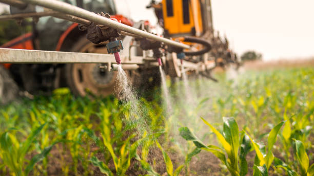 Best Commercial Pest Control Services  in Benton, TN